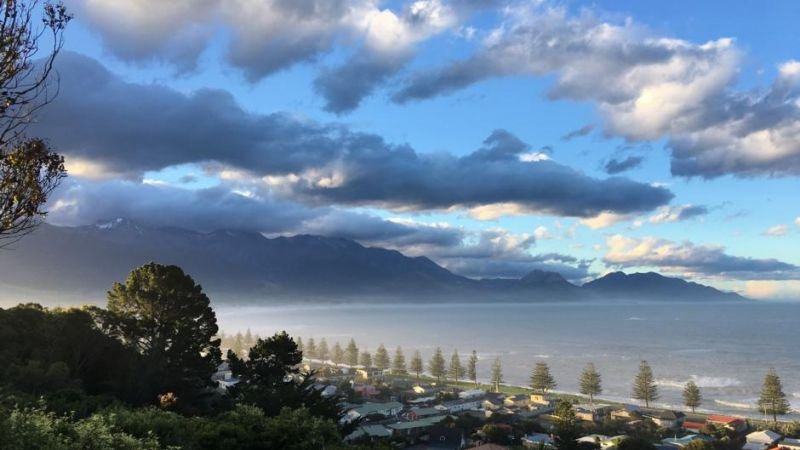 Room With A View Kaikoura