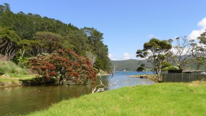 Go Great Barrier Island Holiday Packages