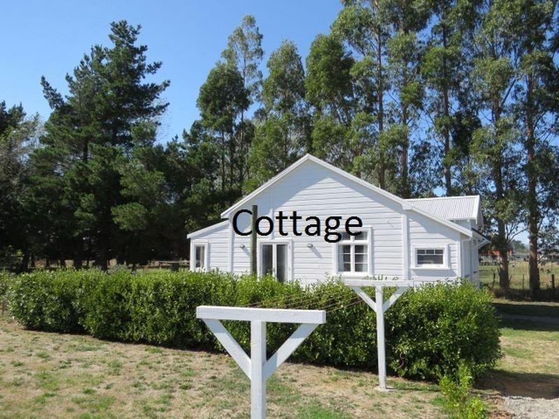 The Winedrinkers Cottage - Accommodation New Zealand 11