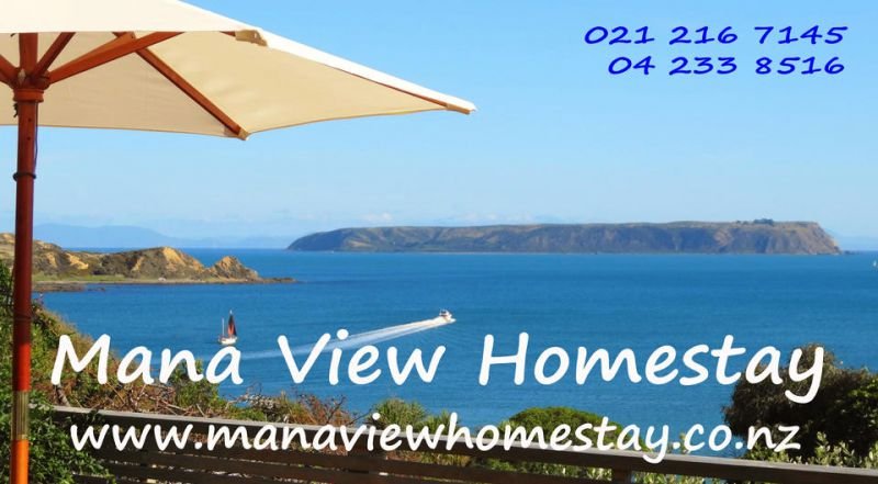 Mana View Homestay - thumb 19