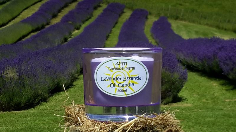 Apiti Lavender Farm - thumb 0