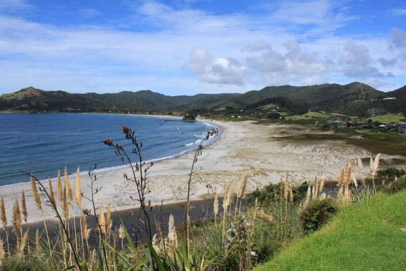Medlands Beach Backpackers And Villas - Accommodation New Zealand 0