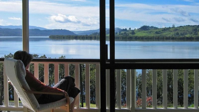 The Tree House Lodge Hokianga Harbour - Accommodation New Zealand 18