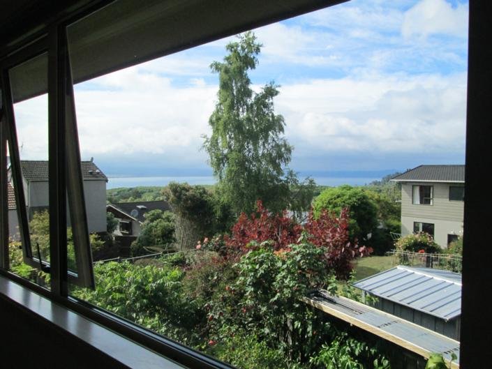 Tauhara View