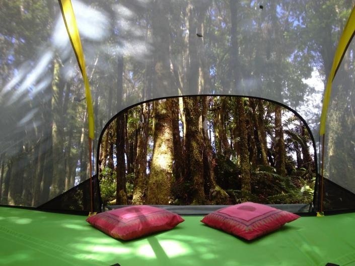 Sleeping In A Tree Tent - Accommodation New Zealand 3
