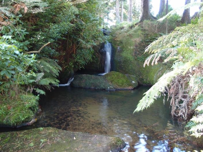 Otesha Falls - Accommodation New Zealand 2