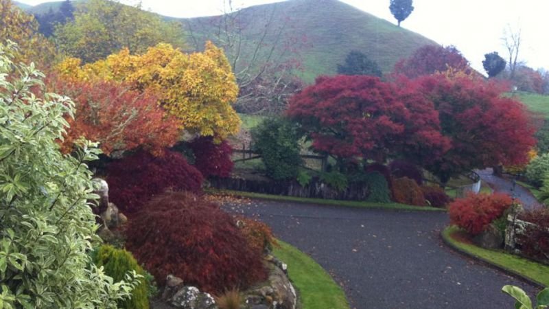 Rock Hill  - Accommodation New Zealand 14