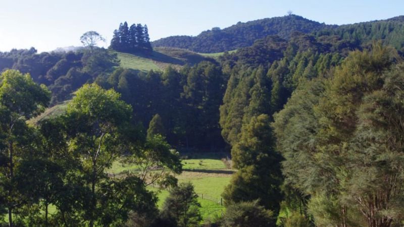 Karamu Valley Lodge - Accommodation New Zealand 9