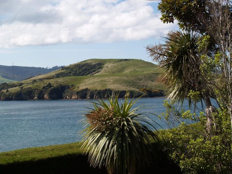 Captain Eady's Lookout - Accommodation New Zealand 7