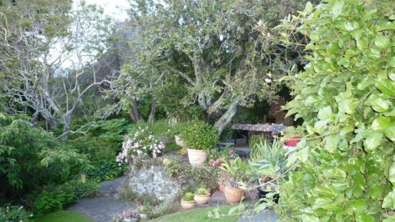 Cobden Garden Homestay