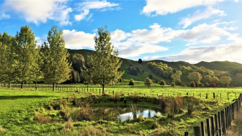 Mt Huia Farmstay - Homestead B&B - Accommodation New Zealand 9