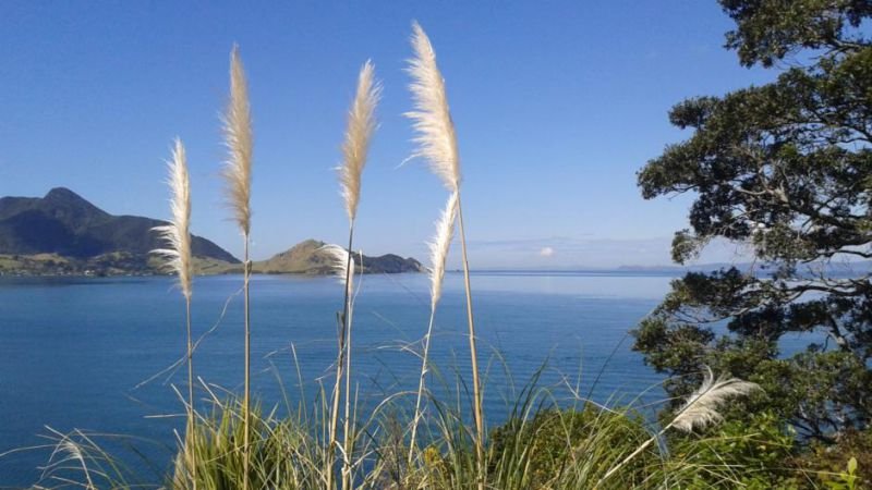 The Fish And Jandal - Accommodation New Zealand 10