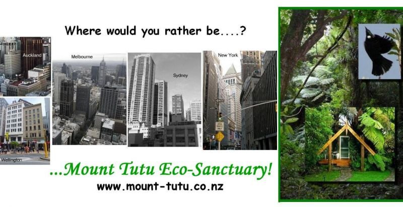 Mount Tutu Eco-Sanctuary - Accommodation New Zealand 1