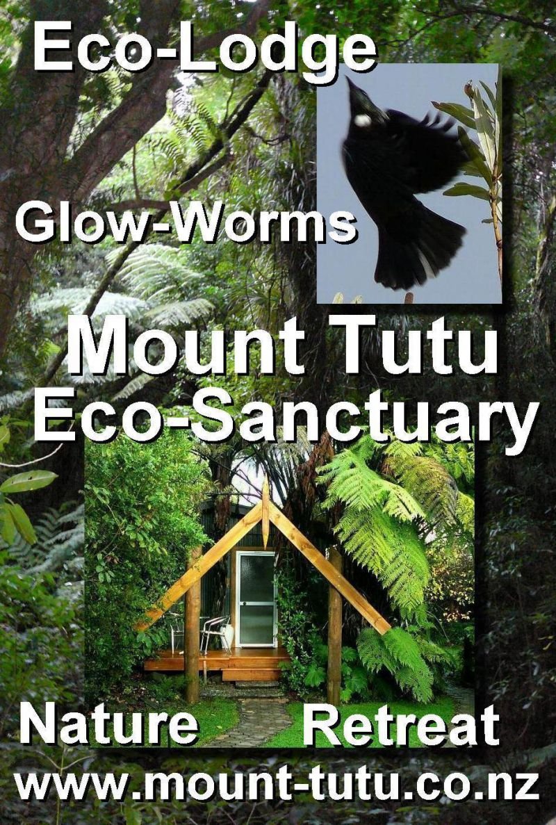 Mount Tutu Eco-Sanctuary - Accommodation New Zealand 10