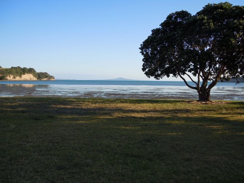 Okoromai Bay Bed & Breakfast - Accommodation New Zealand 7
