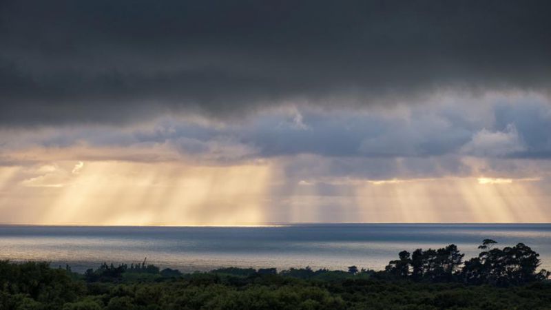 Manakau Lodge - thumb 1