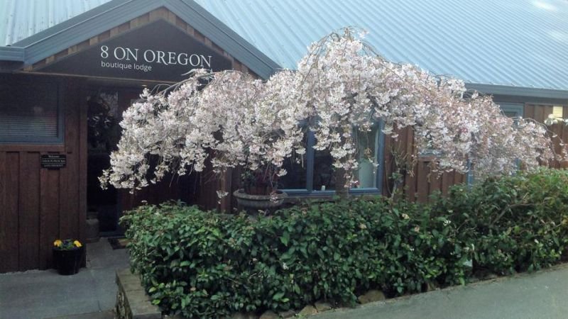 8 On Oregon Boutique Lodge