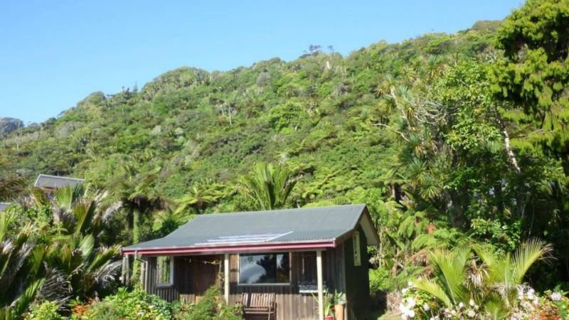Hydrangea Cottages Punakaiki - Accommodation New Zealand 7