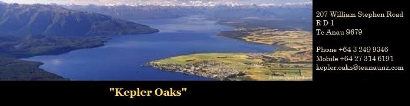 Kepler Oaks Chalet - Accommodation New Zealand 48