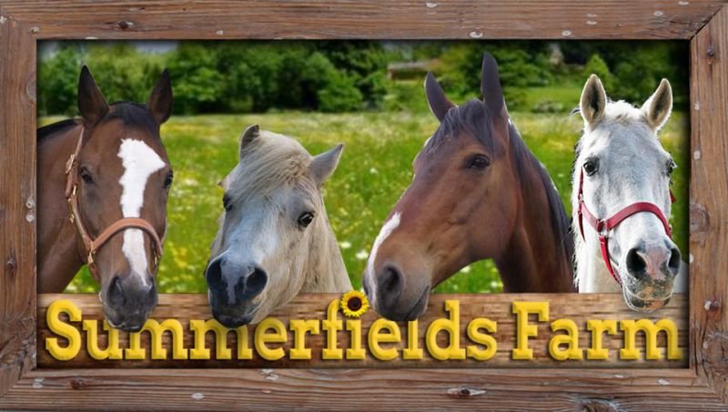 Summerfields Farmstay