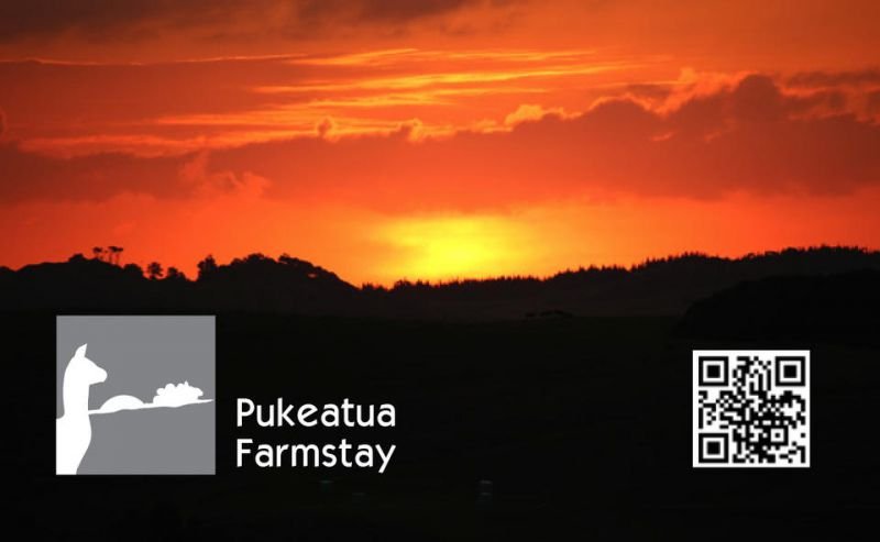 Pukeatua Farmstay - Accommodation New Zealand 13