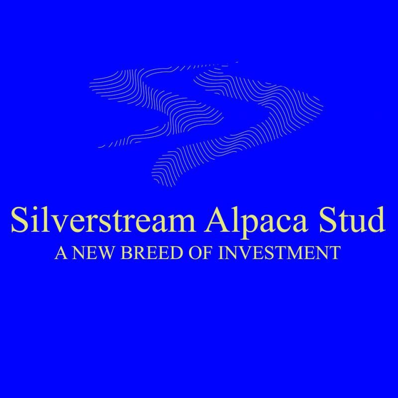 Silverstream Alpaca Farmstay - Accommodation New Zealand 1