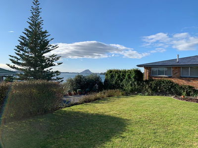 Tauranga Harbour Views