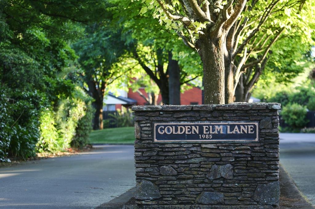 Golden Elm Garden - thumb 3