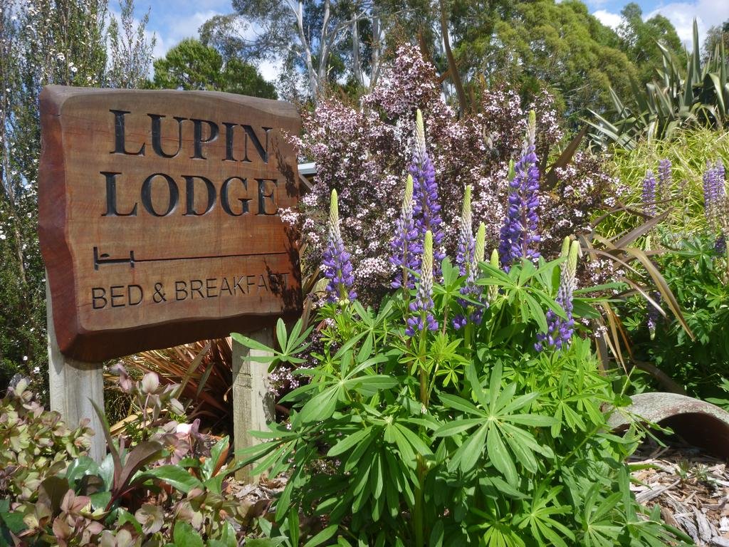 Lupin Lodge Bed & Breakfast - thumb 1