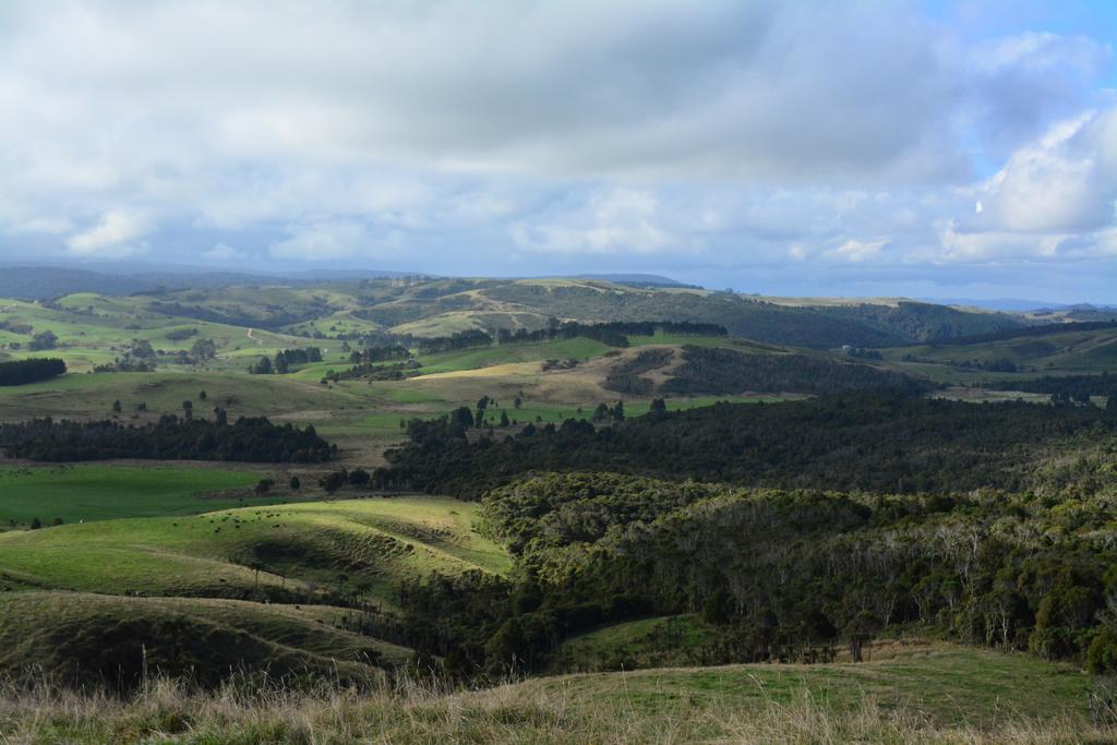 Pupu Rangi Nature Sanctuary - thumb 3