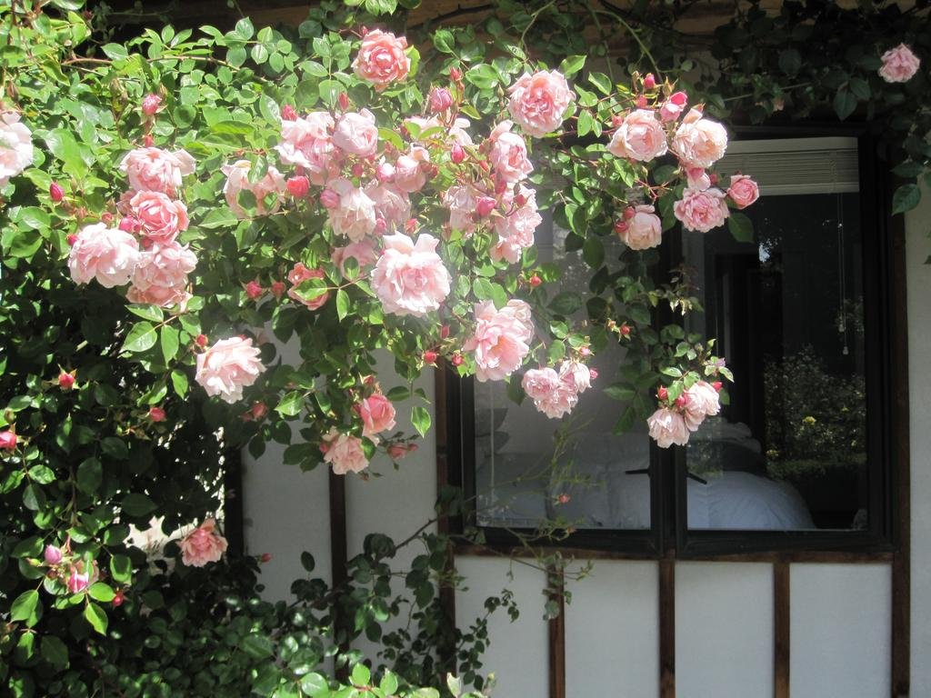 Rose Cottage At The Elms - thumb 0