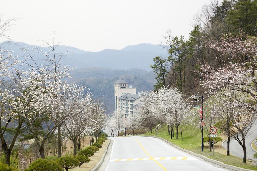 Oak Valley Resort Accommodation South Korea