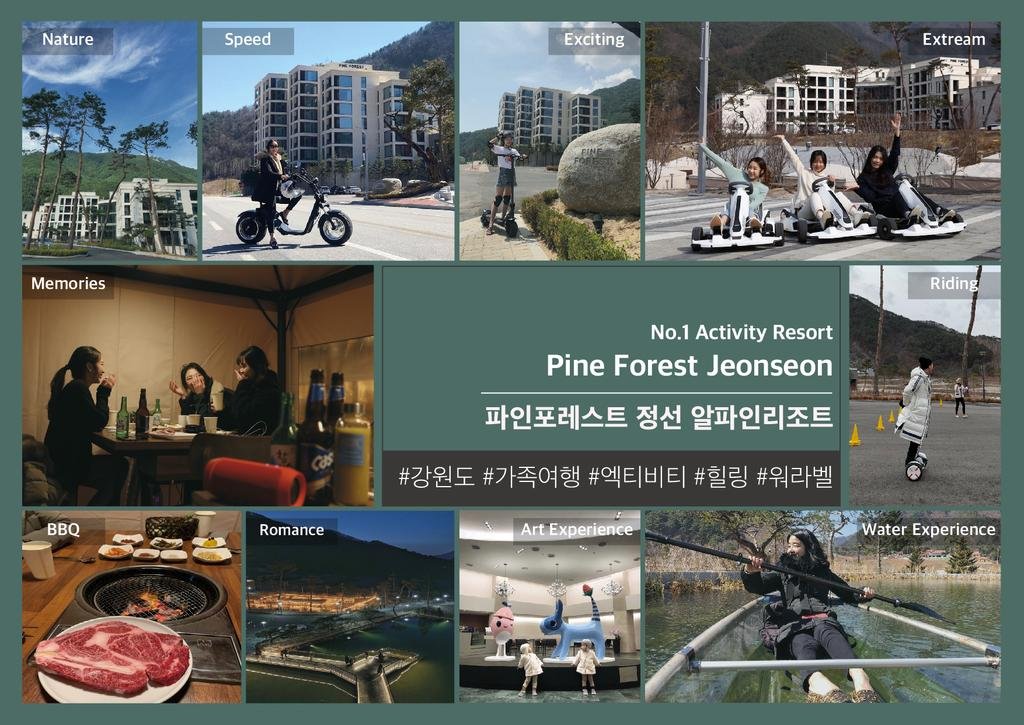 Pine Forest Jeongseon Alpine Resort Accommodation South Korea