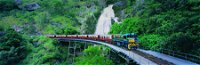 Kuranda Scenic Railway - Accommodation Daintree