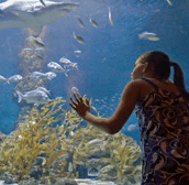 The Aquarium of Western Australia - Accommodation Kalgoorlie