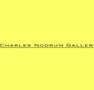 Charles Nodrum Gallery - Accommodation BNB