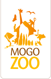 Mogo Zoo - Accommodation Redcliffe