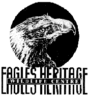 Eagles Heritage - Gold Coast Attractions