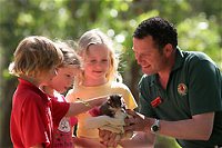 Cleland Wildlife Park - Accommodation Cooktown
