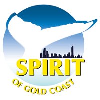 Spirit of Gold Coast Whale Watching - Accommodation Yamba