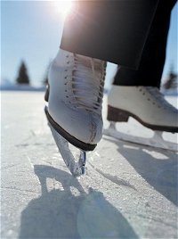 Olympic Ice Skating Centre - Accommodation BNB