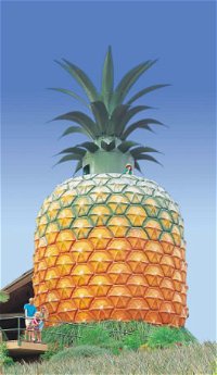 The Big Pineapple - Accommodation in Bendigo