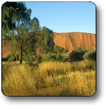 Book Kings Canyon NT   Attractions