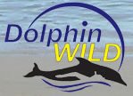 Dolphin Wild - Tourism Canberra