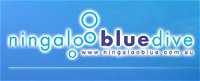 Ningaloo Blue Dive - Accommodation Brunswick Heads