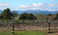 Buller View Wines - Accommodation BNB