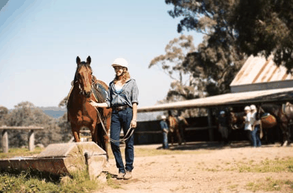Watsons Trail Rides - Attractions Melbourne