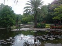 Brisbane City Botanic Gardens - Accommodation Rockhampton