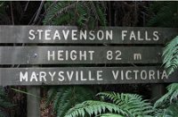 Stevensons Falls - Accommodation in Bendigo