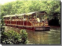 Daintree Rainforest River Trains - Tourism Bookings WA